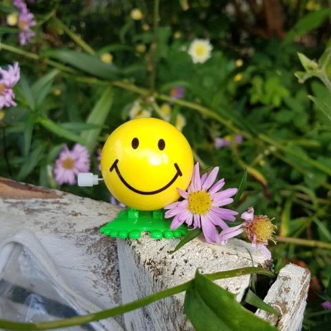 Glück, Foto © Christiane Gruska